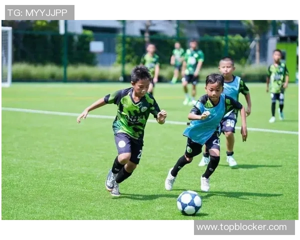 舞阳足球：激情与梦想交织的绿茵场上追逐荣耀的青春故事